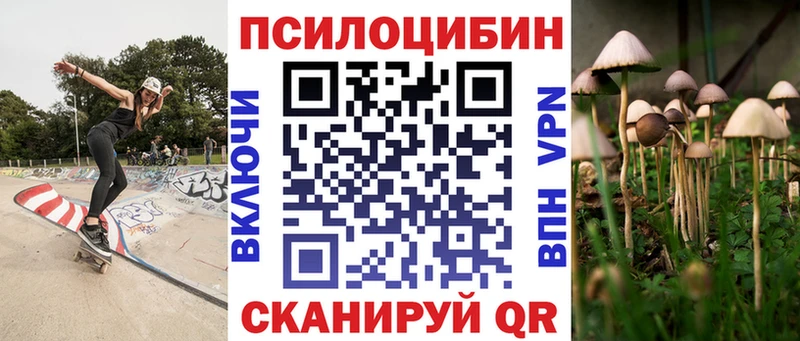Псилоцибиновые грибы Cubensis  МЕГА как войти  Новый Оскол 